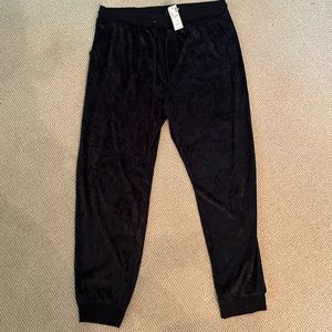 NWT Loralette Velvet Drawstring Joggers 2X